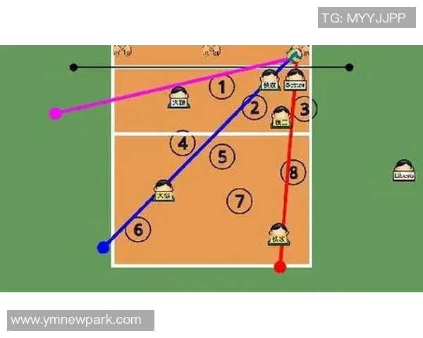 上海排球队的节奏与战术解析聚焦排球运动的魅力与挑战
