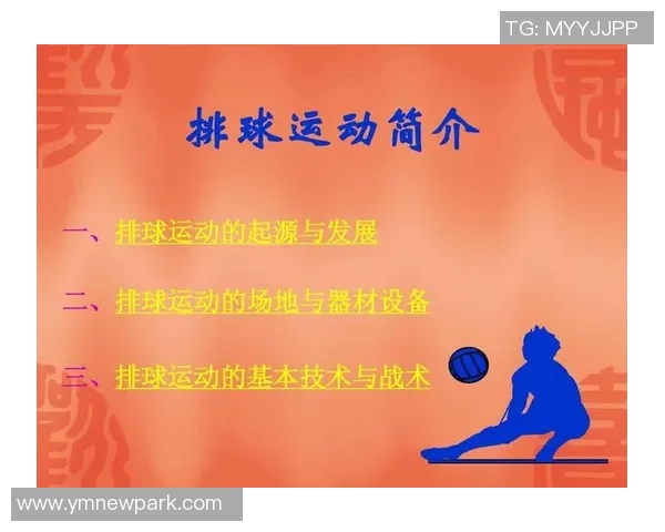 南京排球队的战术分析与控制能力的得失探讨