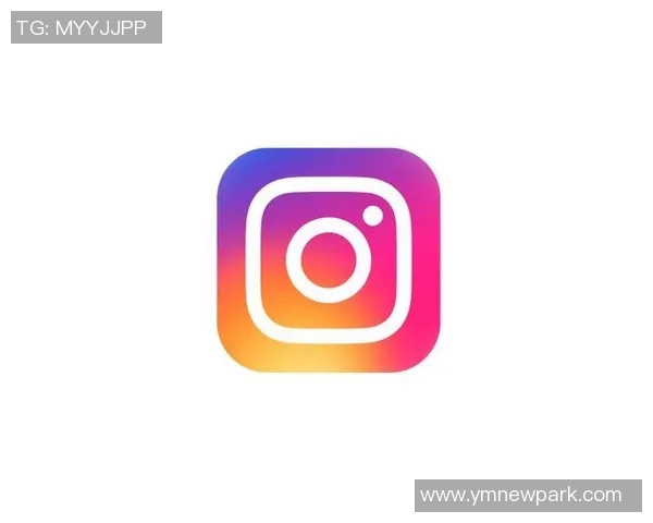 数据分析揭示Instagram平台速度表现的关键因素与用户体验影响