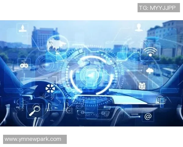 代怀博的成长之路与未来发展展望：探索新机遇与挑战