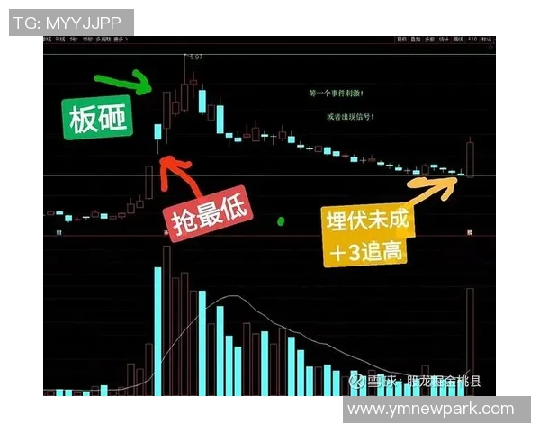 广州乒乓球队与上海乒乓球队赛后复盘分析比赛节奏与战术对决